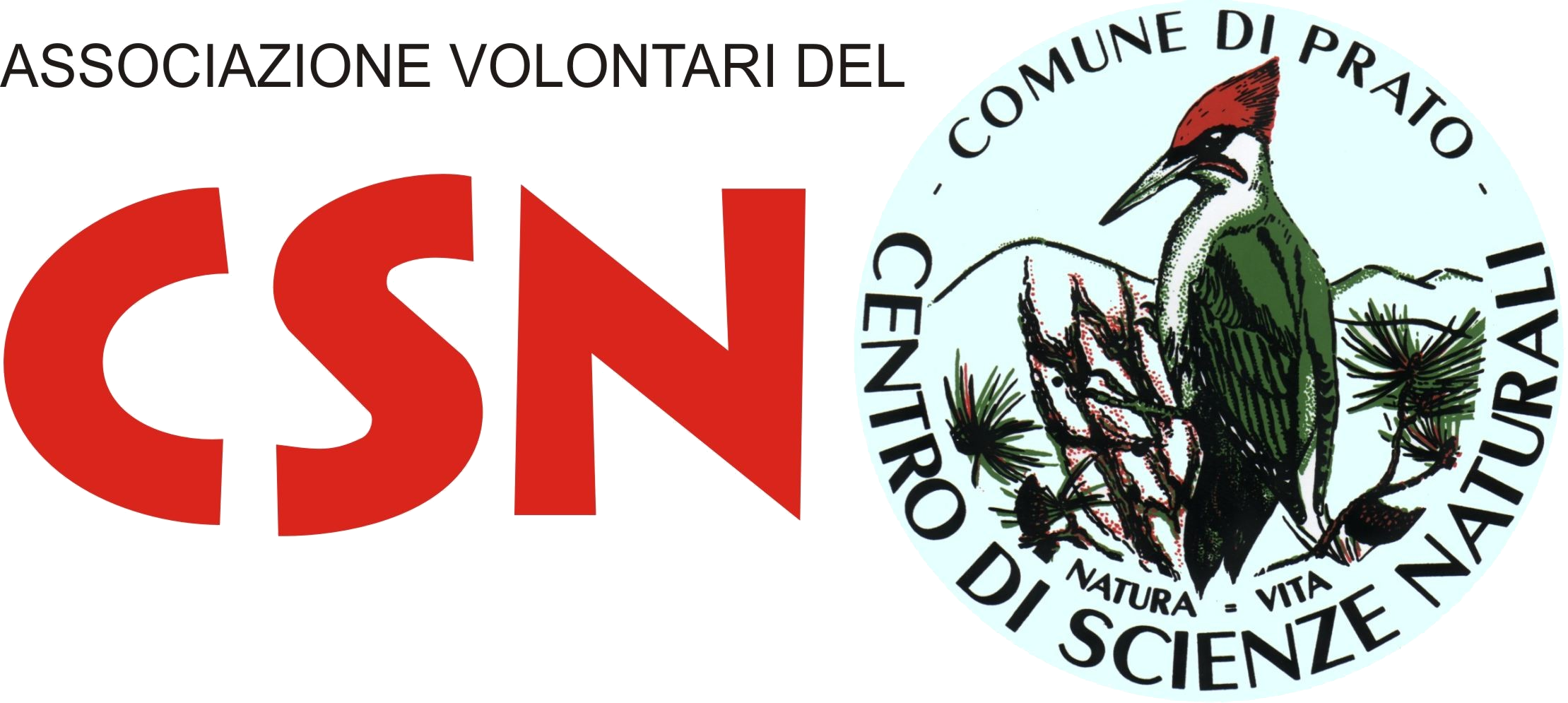 Logo Associazione Volontari del CSN
